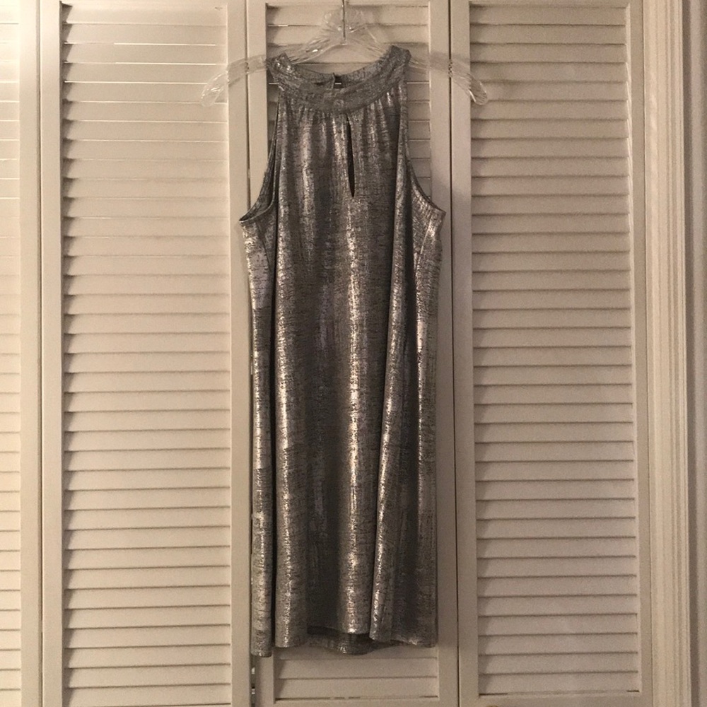 silver dress